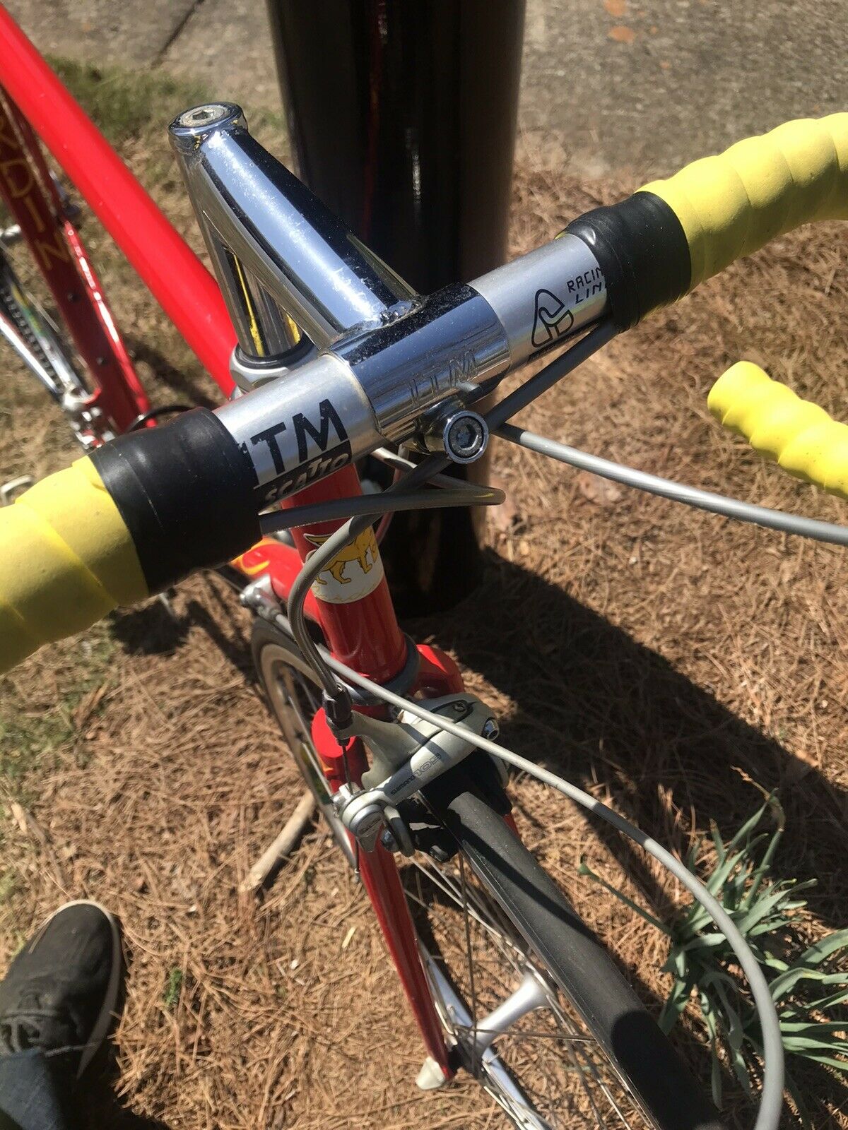 Joe Gardin Canada Road Bike With Shimano ! Near Mint Colnago Type Geometry Nice - Fresh Stock Dated December 2025