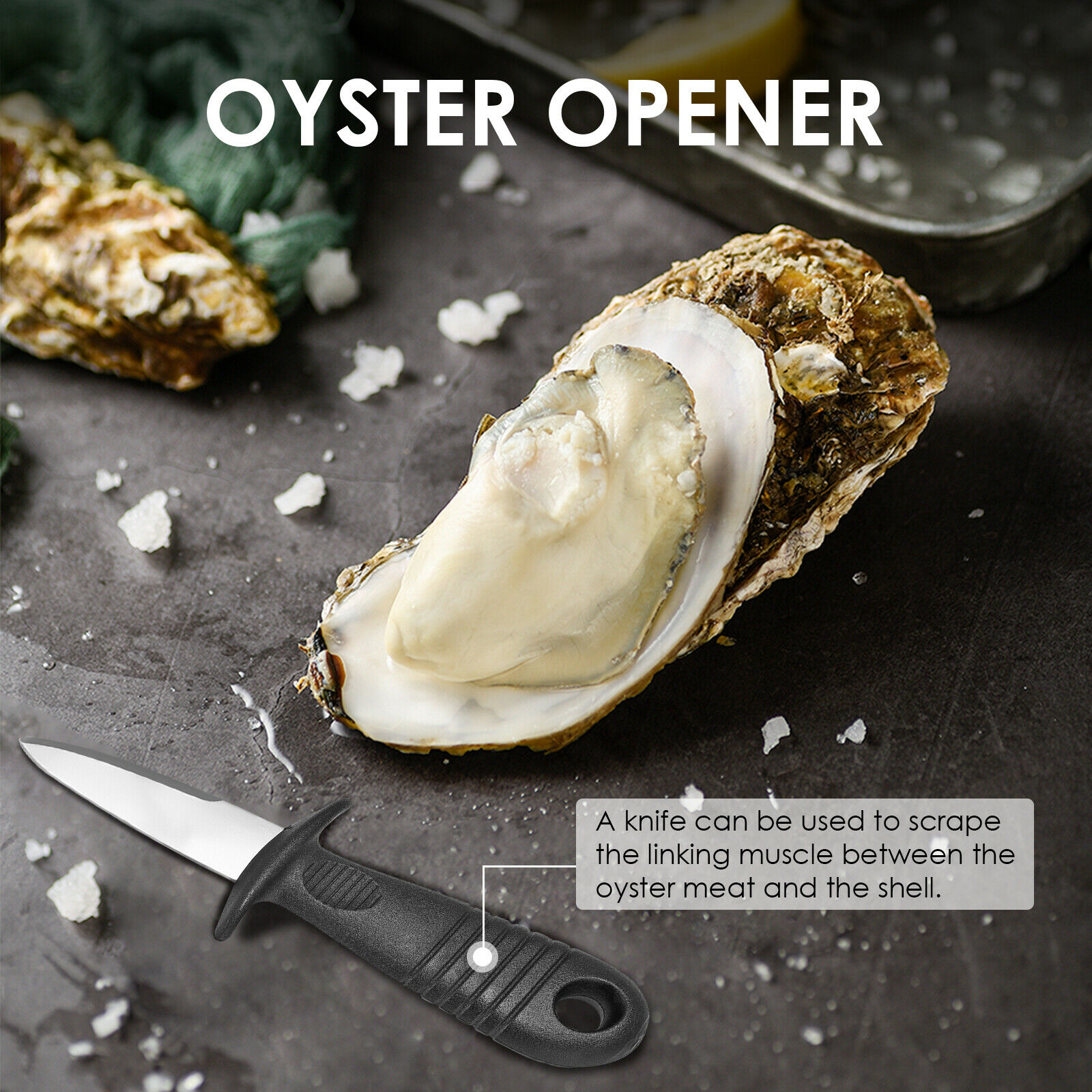 Oyster Knife Shucker Shell Seafood Opener Shucking Tool Set With/ Blade - Fresh Stock Dated January 2026