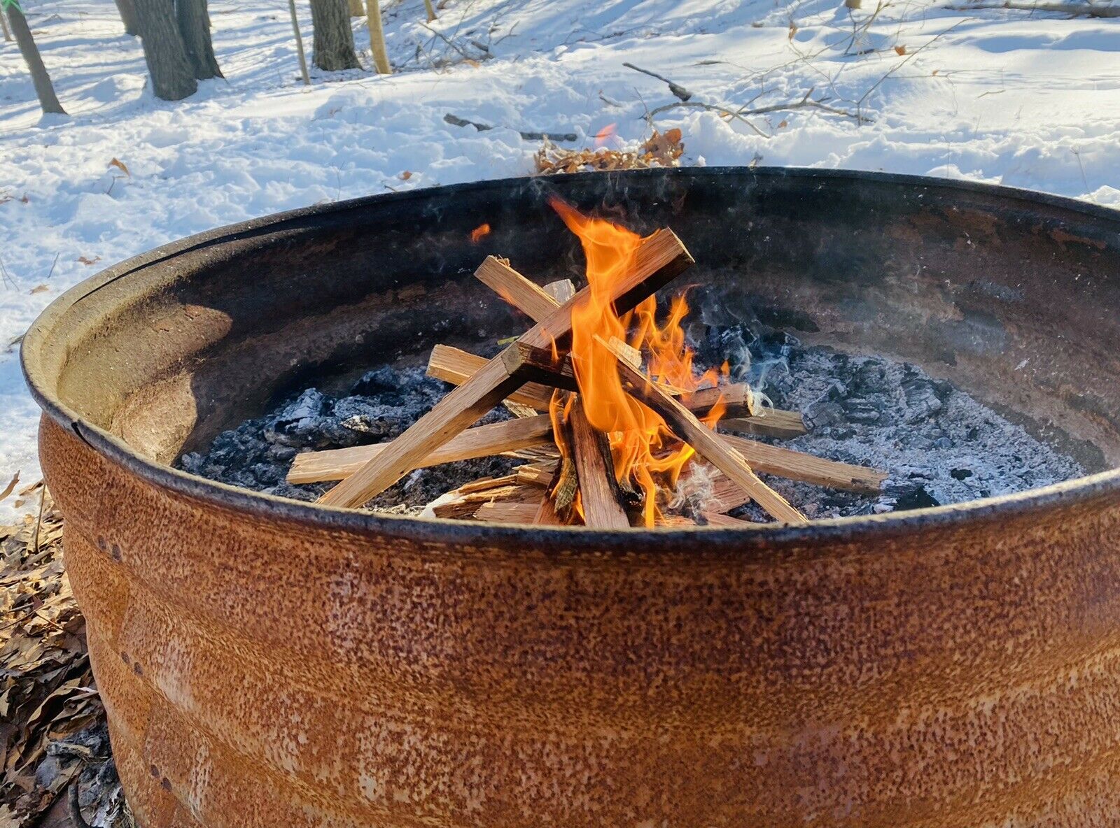 Premium Kindling Wood - 100% Seasoned Oak - Fresh Stock Dated January 2026