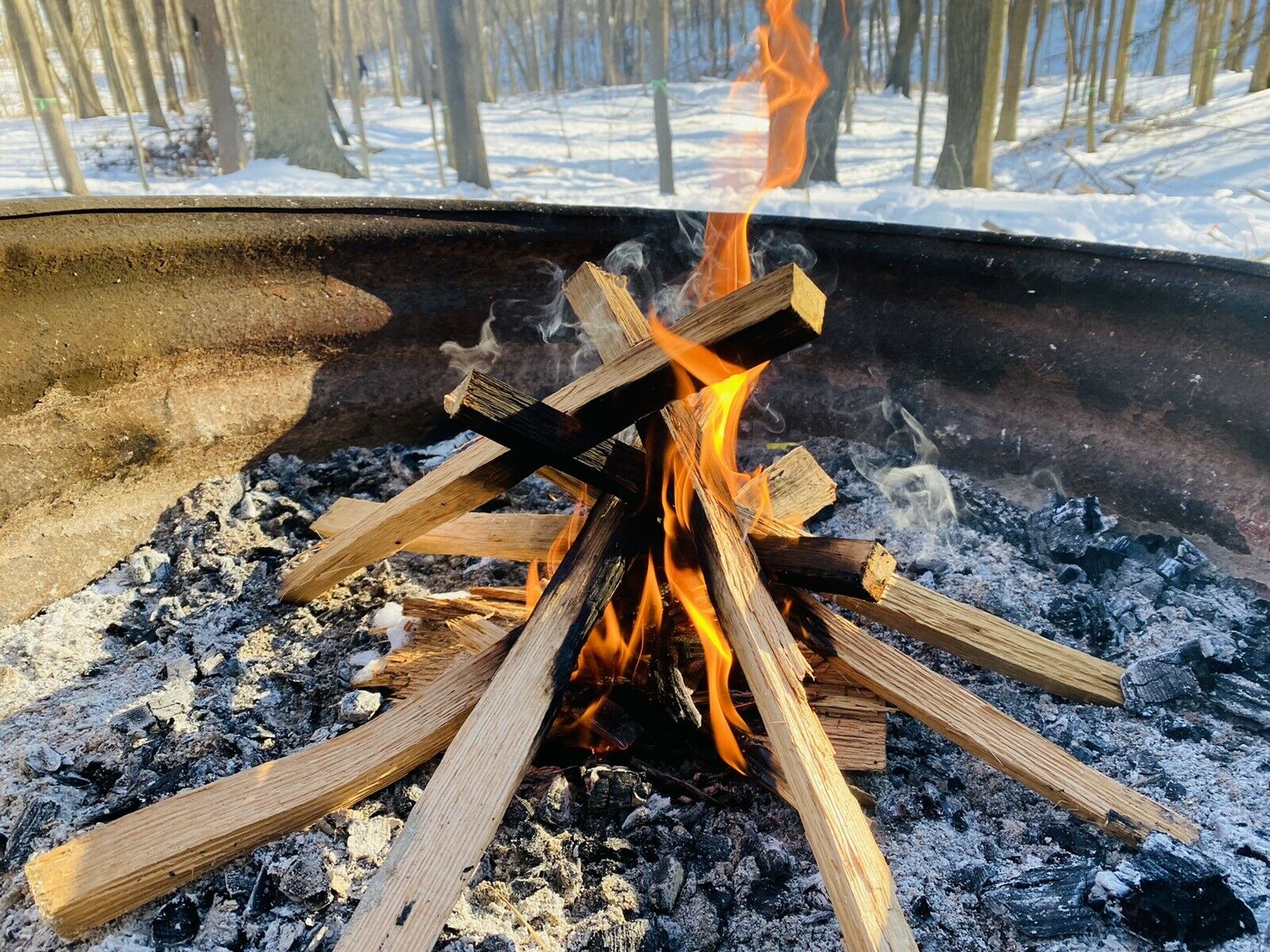 Premium Kindling Wood - 100% Seasoned Oak - Fresh Stock Dated January 2026