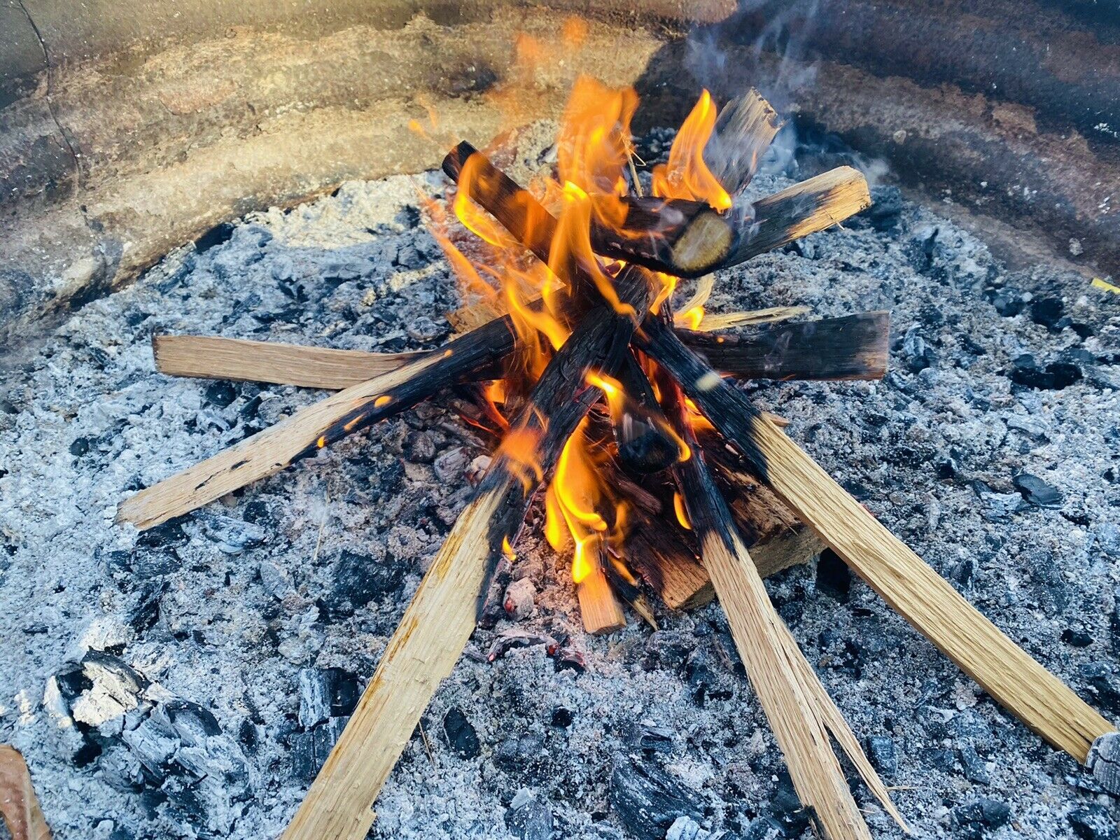 Premium Kindling Wood - 100% Seasoned Oak - Fresh Stock Dated January 2026