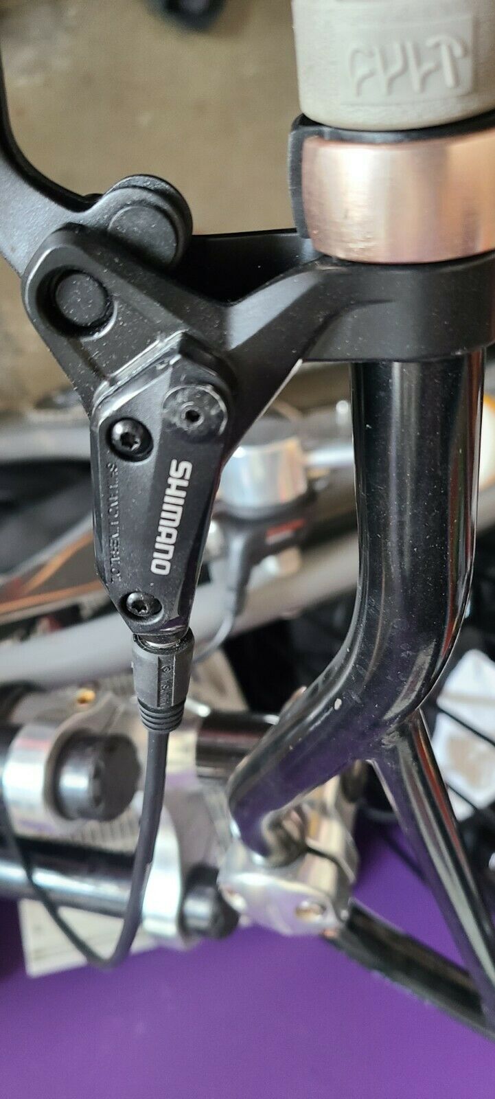 Ruff Cycles Smyinz Custom - Fresh Stock Dated December 2025