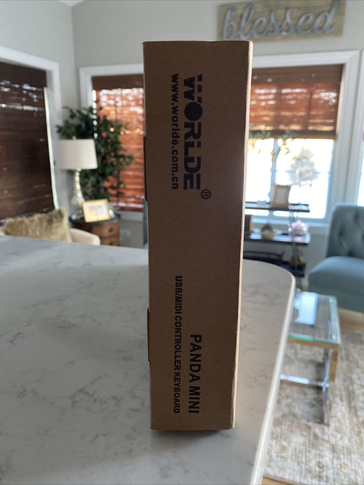 Worlde Panda Mini 25-Key Portable USB Keyboard Drum Pad MIDI electric Controller - Fresh Stock Dated December 2025