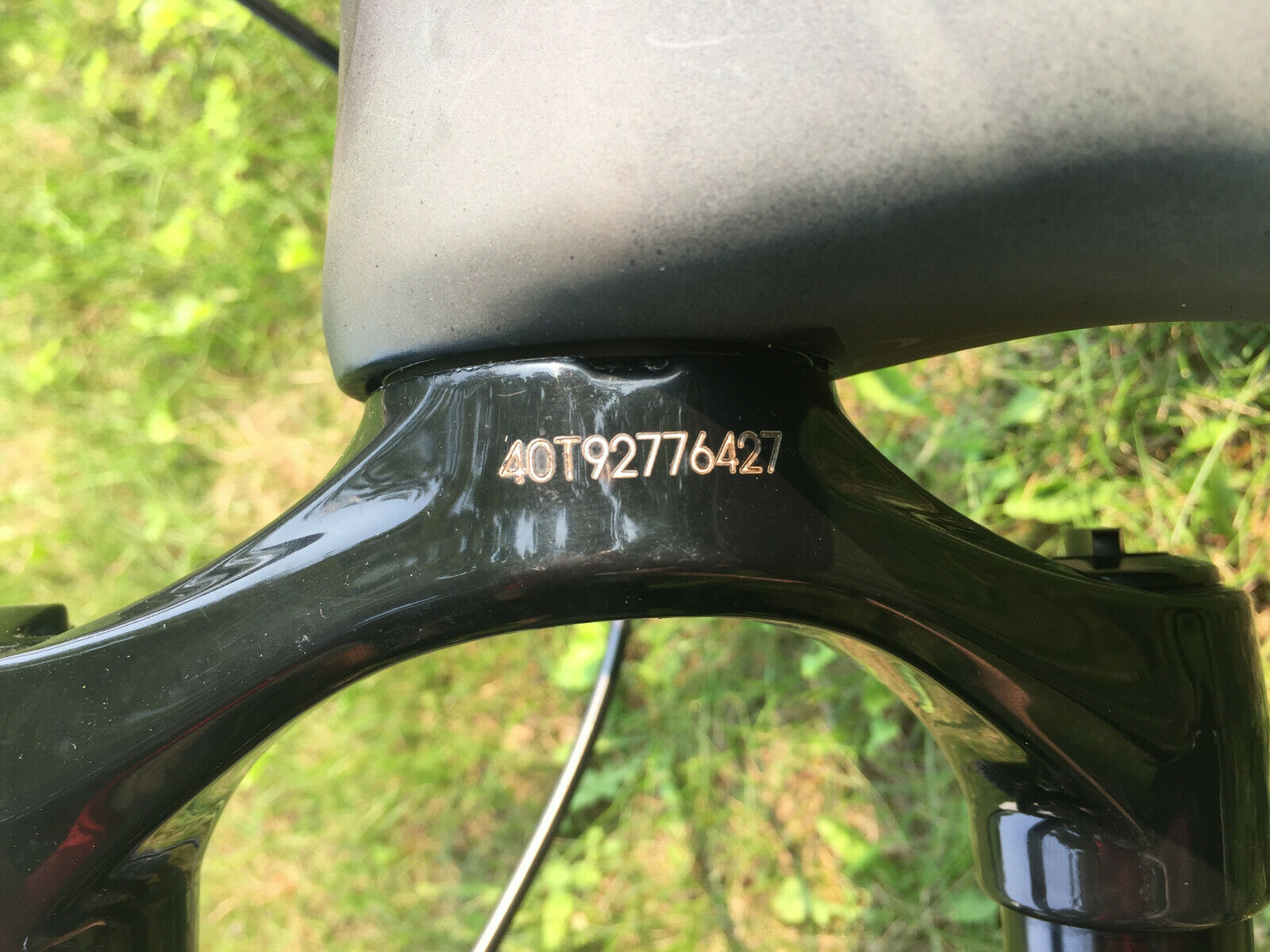 Mountain Bike custom carbon 29, Large 19