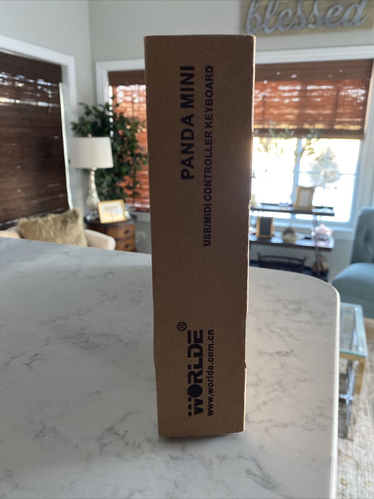 Worlde Panda Mini 25-Key Portable USB Keyboard Drum Pad MIDI electric Controller - Fresh Stock Dated December 2025