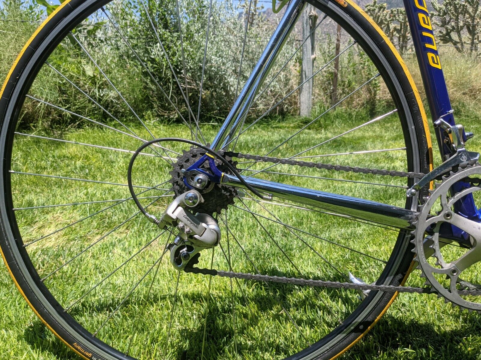 Giordana 58cm Road Bike — Columbus Steel — Full Campagnolo — Excellent Condition - Fresh Stock Dated December 2025