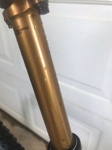 santa cruz blur c pro custom build large 29 Fox Eagle Xo1 Carbon Boyd Serviced - Fresh Stock Dated December 2025