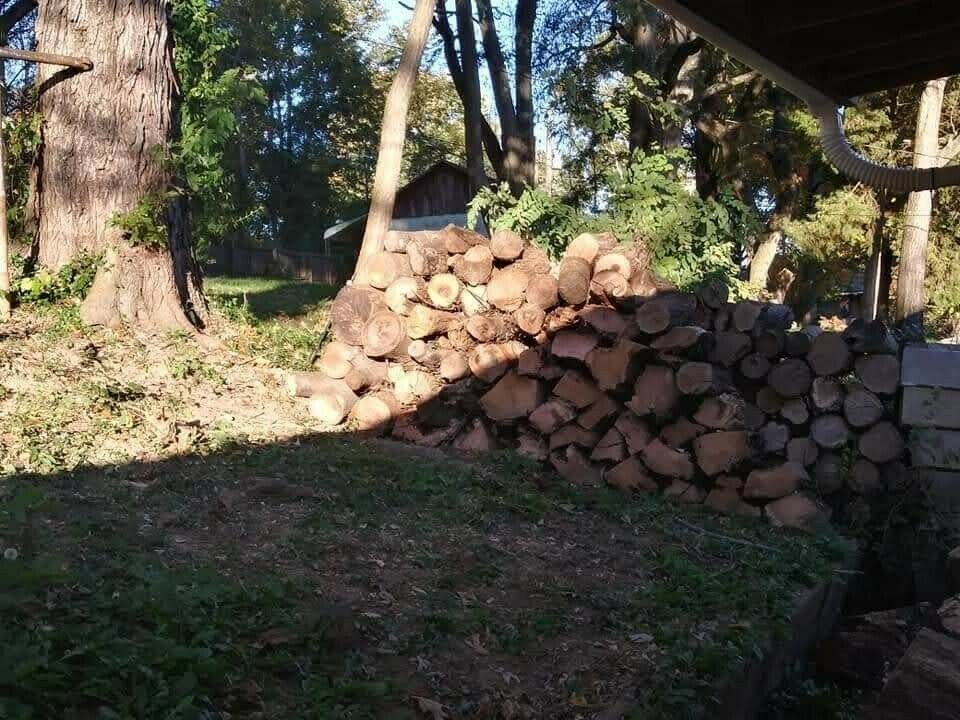 Firewood - Fresh Stock Dated January 2026
