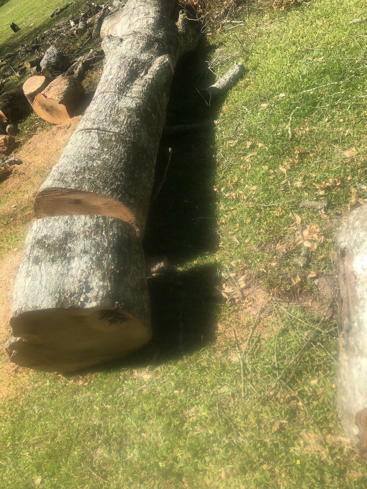 FIRE WOOD... 0 a truck load.. 0 a delivered truck load in Ascension Parish - Fresh Stock Dated January 2026