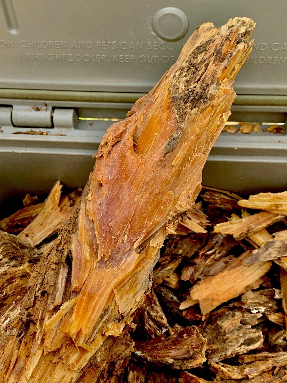 Fatwood 3+ LB Bundle Georgia Firestarter Sticky Kindling Fat Lighter Wood Fire - Fresh Stock Dated January 2026