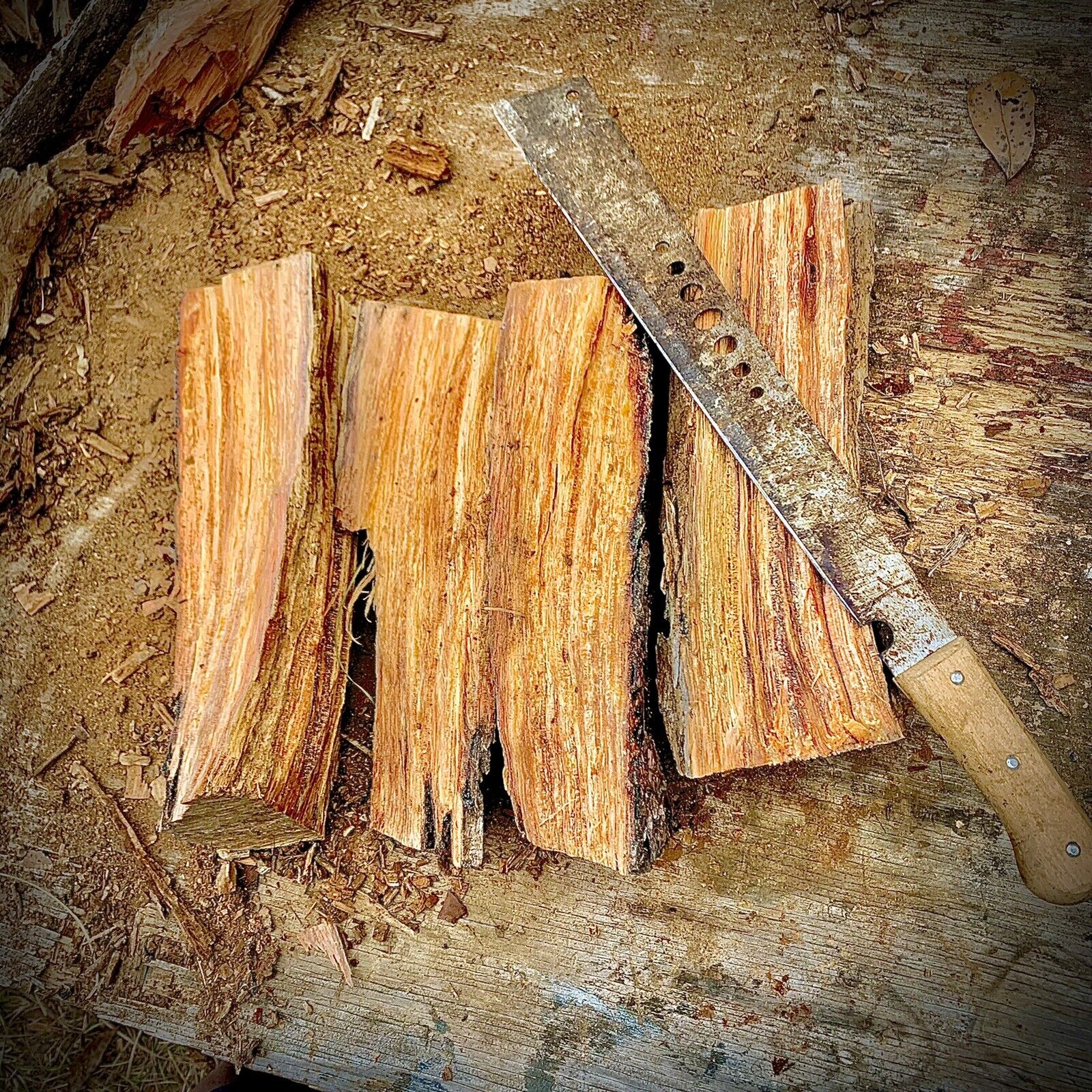 Fatwood 3+ LB Bundle Georgia Firestarter Sticky Kindling Fat Lighter Wood Fire - Fresh Stock Dated January 2026