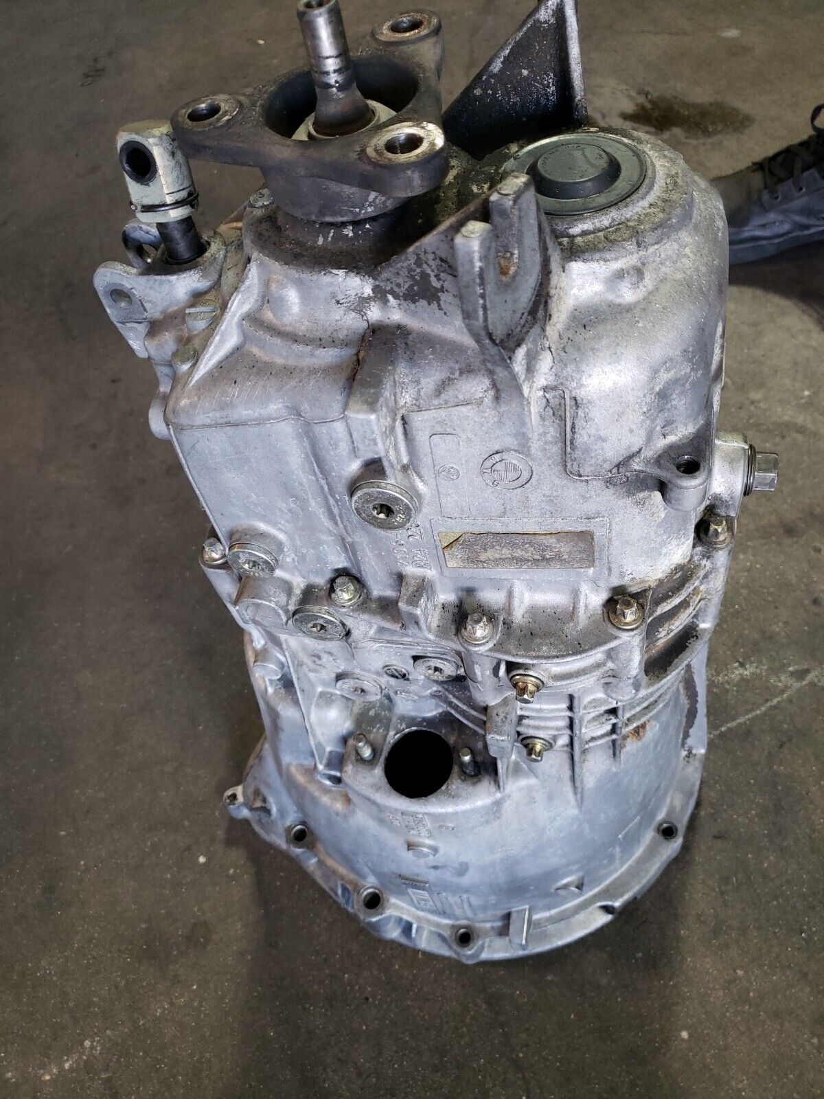 1995-2003 BMW E46 E36 OEM ZF S5D 320Z 5-Speed Manual Transmission Gearbox OEM - Fresh Stock Dated December 2025