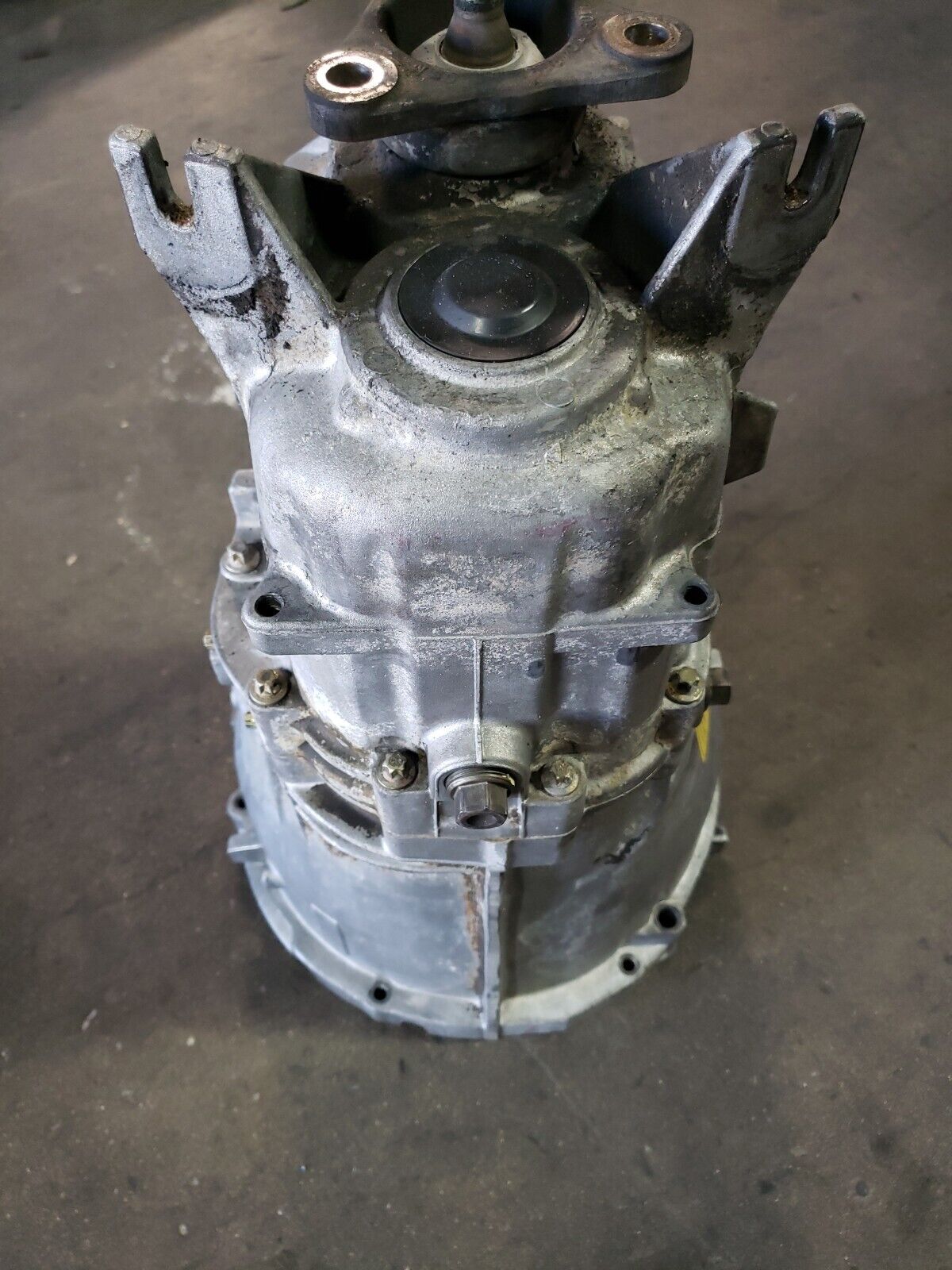 1995-2003 BMW E46 E36 OEM ZF S5D 320Z 5-Speed Manual Transmission Gearbox OEM - Fresh Stock Dated December 2025