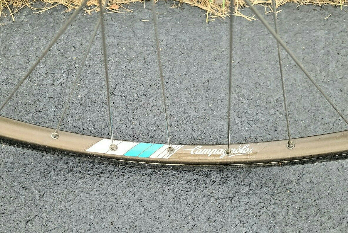 Vtg De‌ ‌Rosa‌ ‌Road‌ ‌Bike / 61cm / Campy parts / Columbus tubing - Fresh Stock Dated December 2025