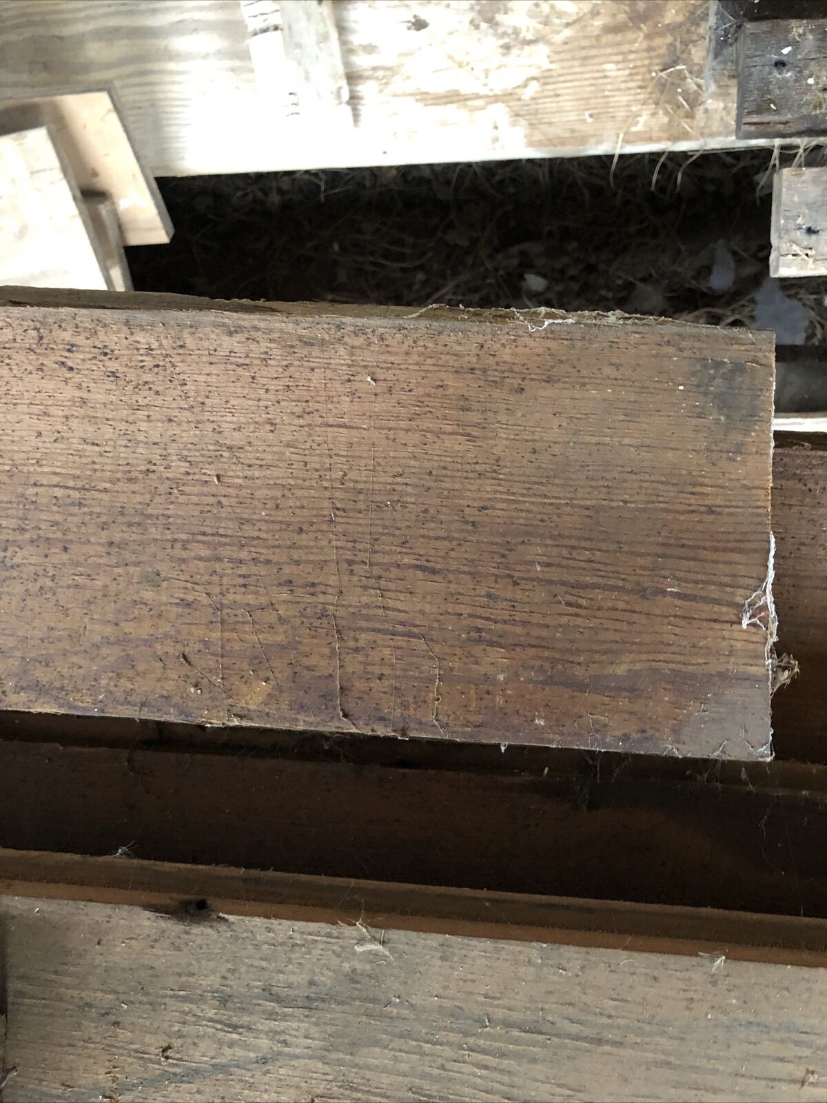 antique Heart Pine wood - Fresh Stock Dated January 2026