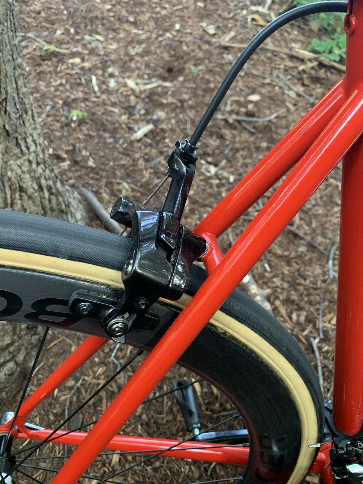 Cielo Road Racer XL Dura ace bontrager xxx, chris king 58cm - Fresh Stock Dated December 2025