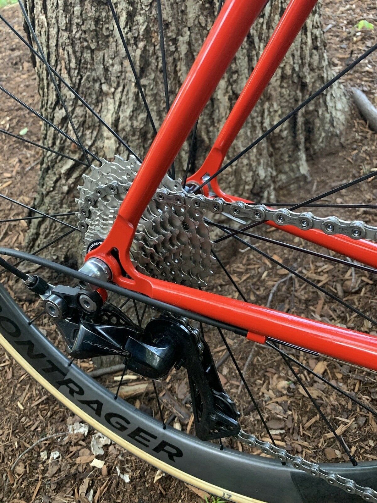 Cielo Road Racer XL Dura ace bontrager xxx, chris king 58cm - Fresh Stock Dated December 2025