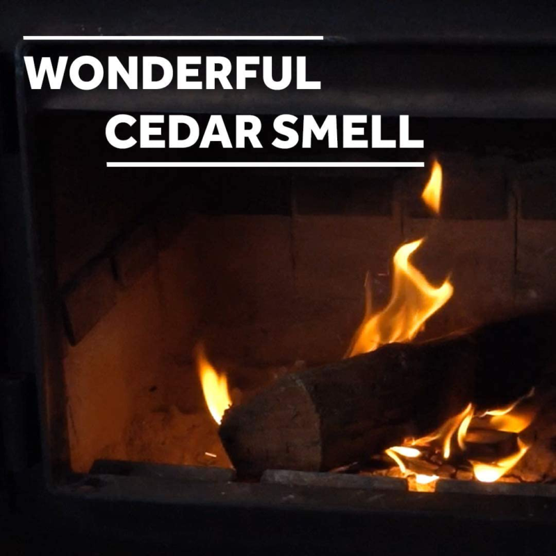 Fire Starter Kindling - 100% All-Natural Incense-Cedar Kindling - Fast, Easy Bur - Fresh Stock Dated December 2025