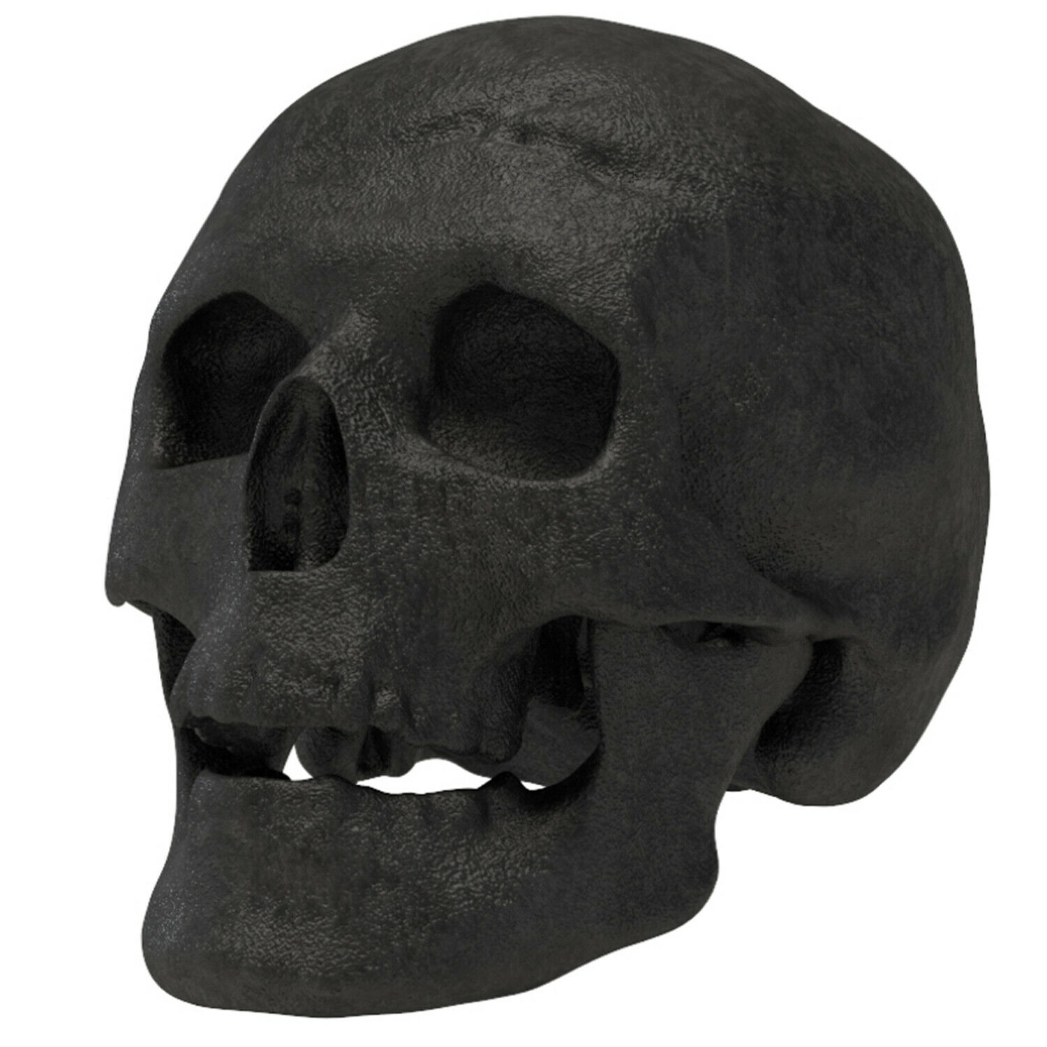 New Regal Flame Human Skull Ceramic Wood Large Gas Fireplace Logs - Black - Fresh Stock Dated January 2026