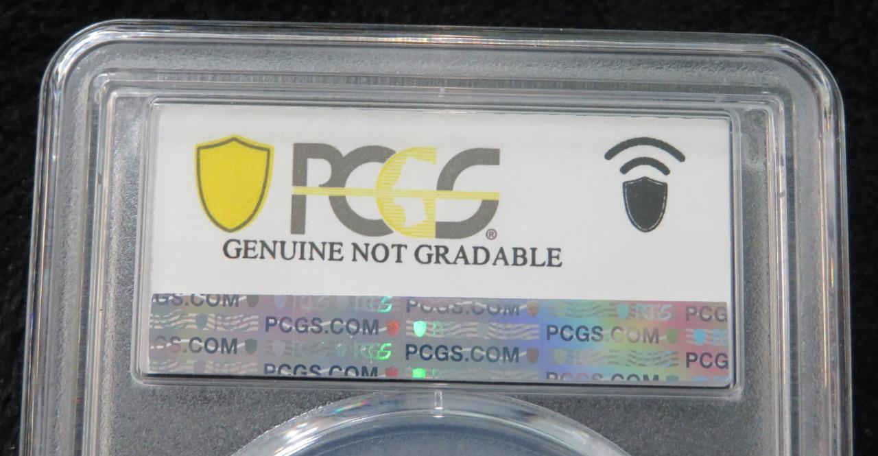 1795 Half Cent Plain Edge, No Pole * Planchet Flaw* PCGS Authenticated VF Detail - Fresh Stock Dated December 2025