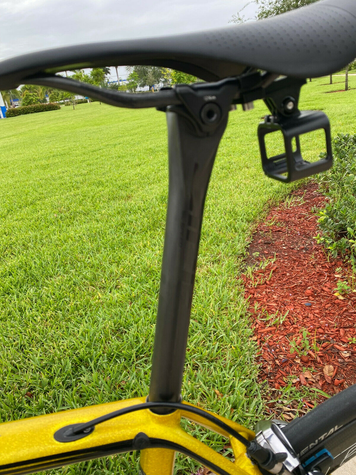 2015 Specialized S-Works Tarmac (Rigoberto Uran edition) Size 56cm - Fresh Stock Dated December 2025