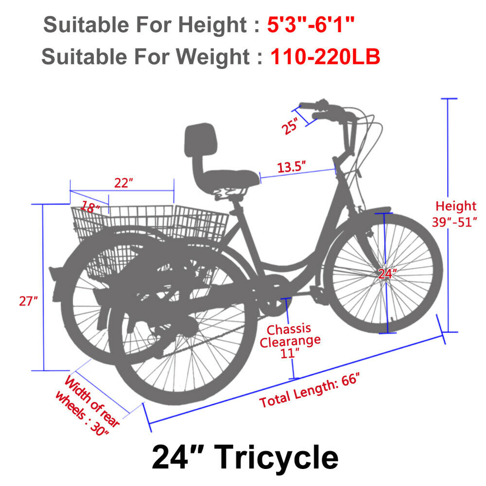 Adult Tricycles 7 Speed 24 Inch Three Wheel Bike Cruiser Trike with Large Basket - Fresh Stock Dated December 2025