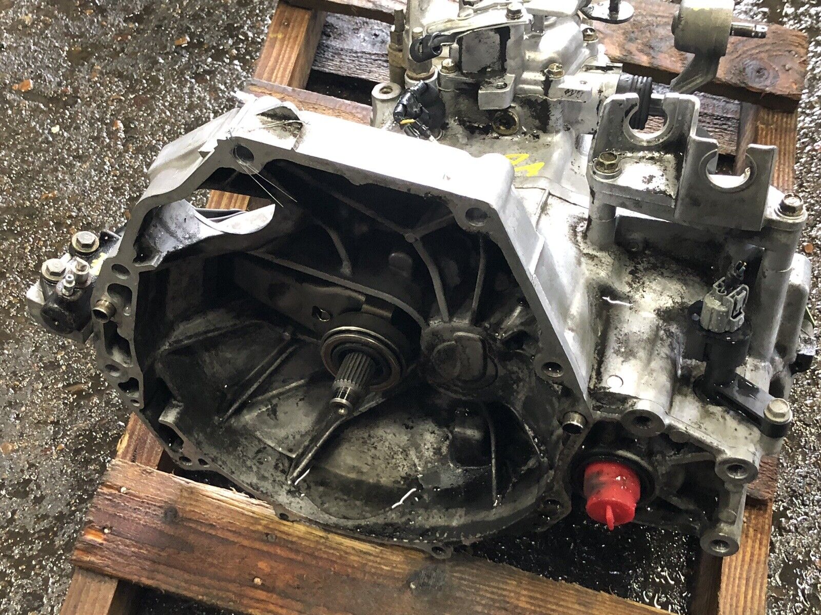 1998-2002 Honda Accord 98 99 Acura CL 2.3 5 Speed Manual Transmission Transaxle - Fresh Stock Dated December 2025