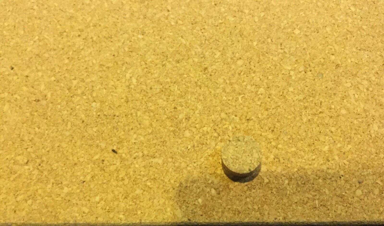 Fox Hunting Herring Hunt Cork Backed Hot Plate - Fresh Stock Dated February 2026