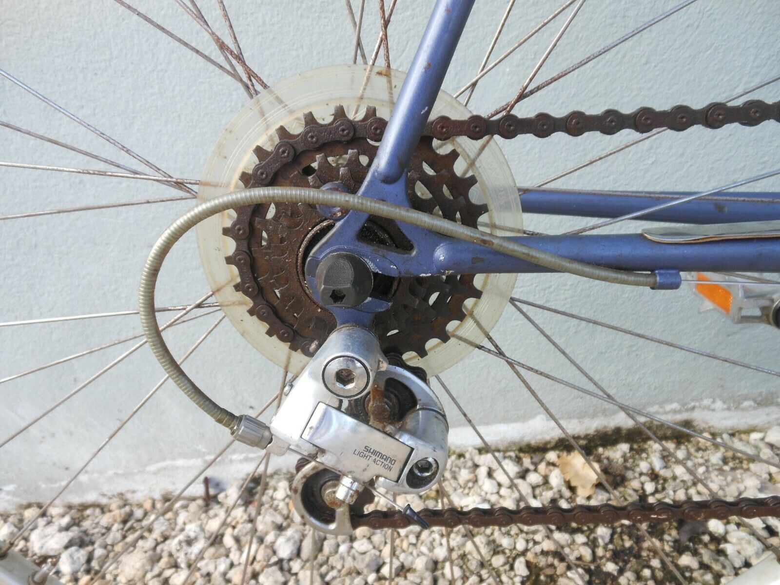 Schwinn Prelude 54cm Bike - Fresh Stock Dated December 2025