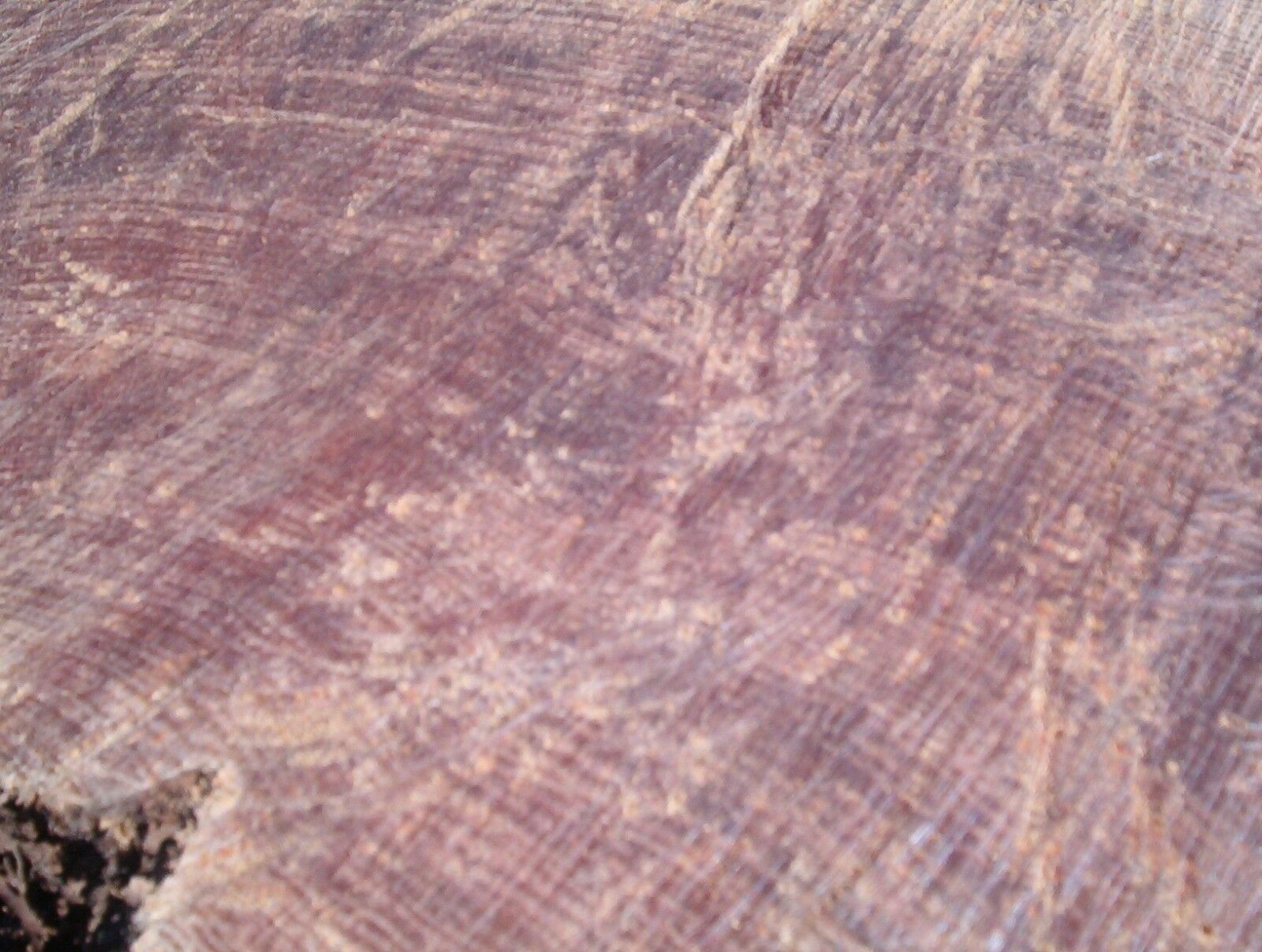 Fat lighter Kindling Fire Starters Fatwood Splints 3 Lb.+ Of Wood *FREE MAILING* - Fresh Stock Dated December 2025