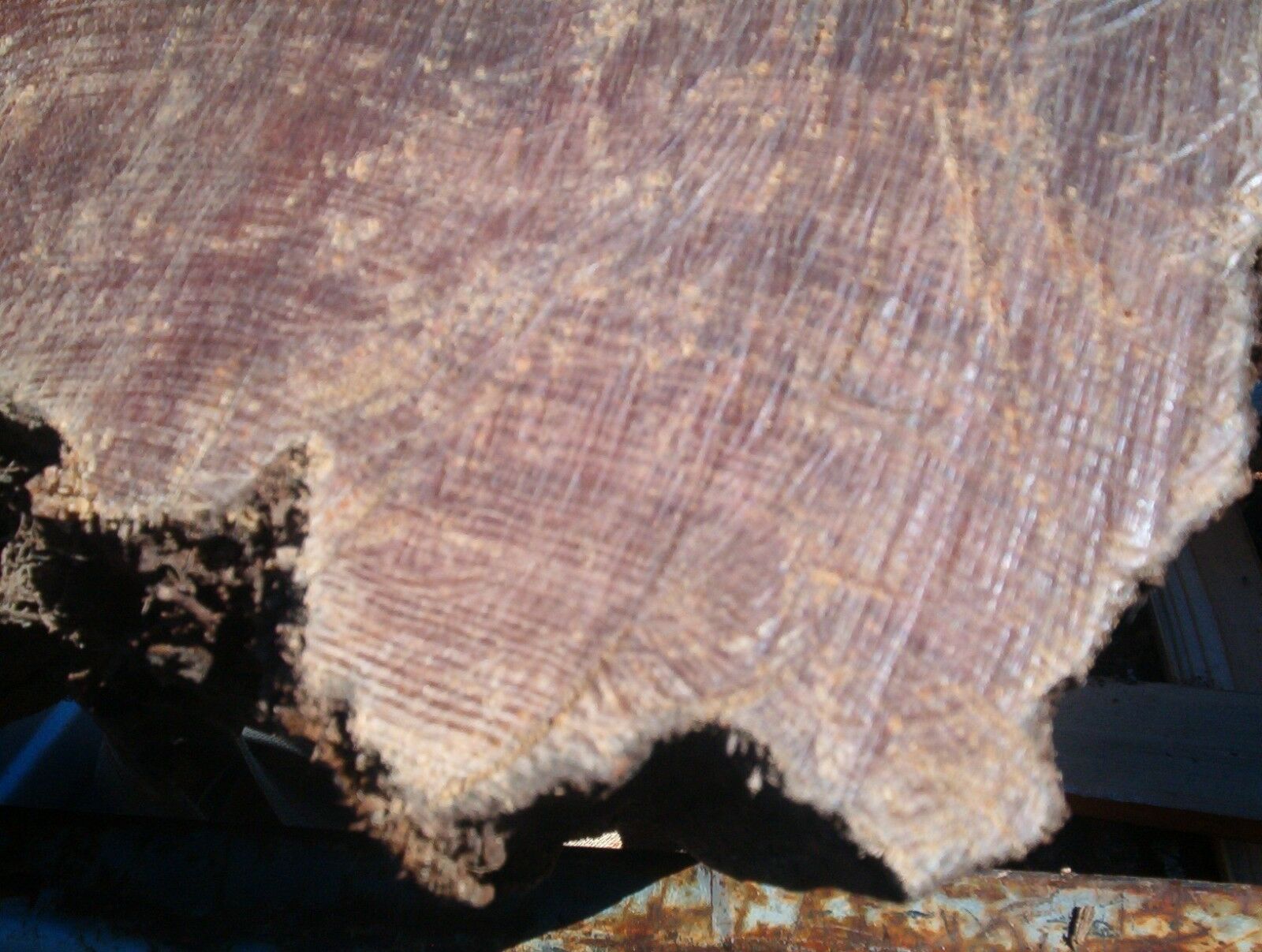 Fat lighter Kindling Fire Starters Fatwood Splints 3 Lb.+ Of Wood *FREE MAILING* - Fresh Stock Dated December 2025