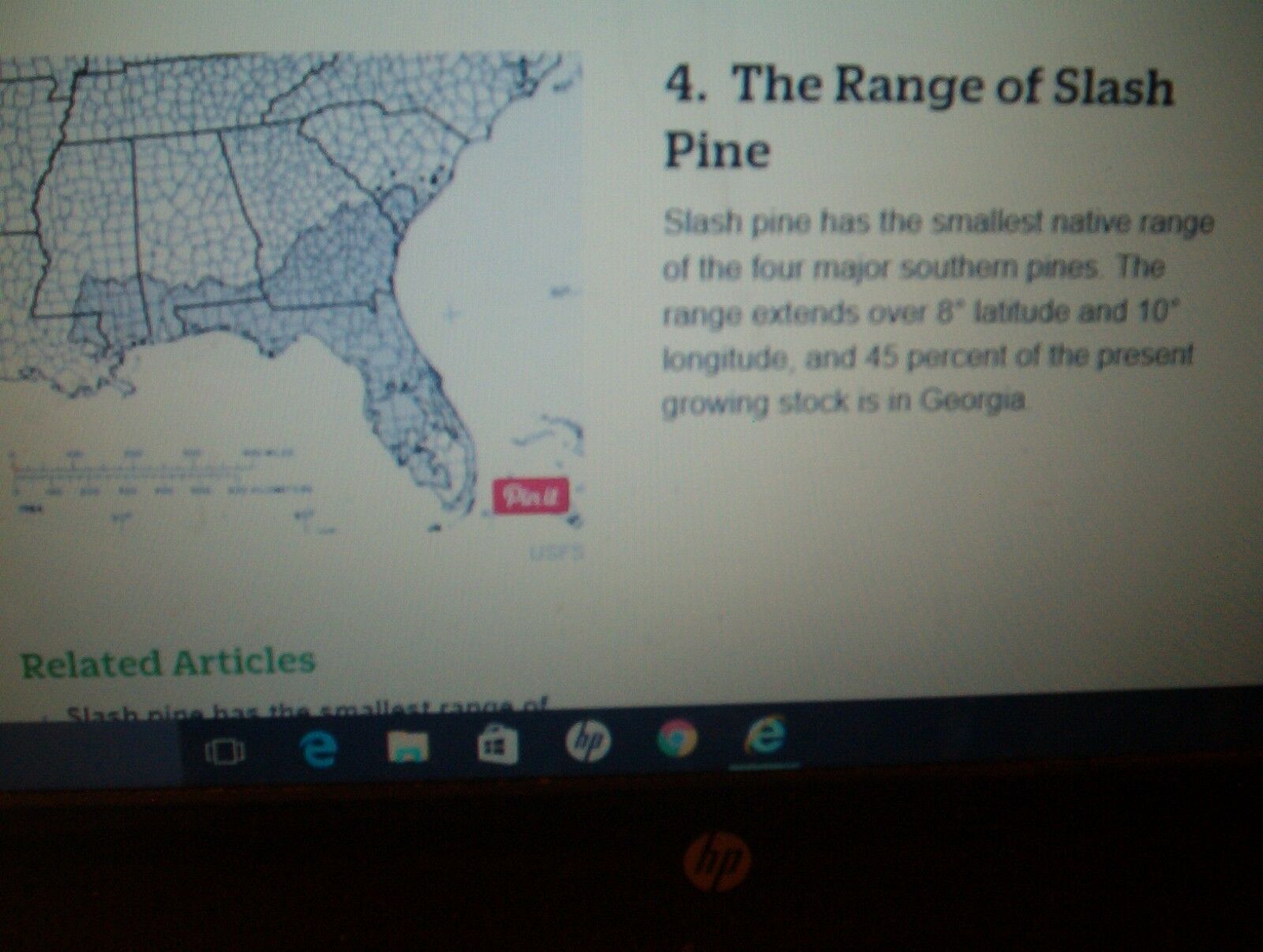 Fat lighter Kindling Fire Starters Fatwood Splints 3 Lb.+ Of Wood *FREE MAILING* - Fresh Stock Dated December 2025