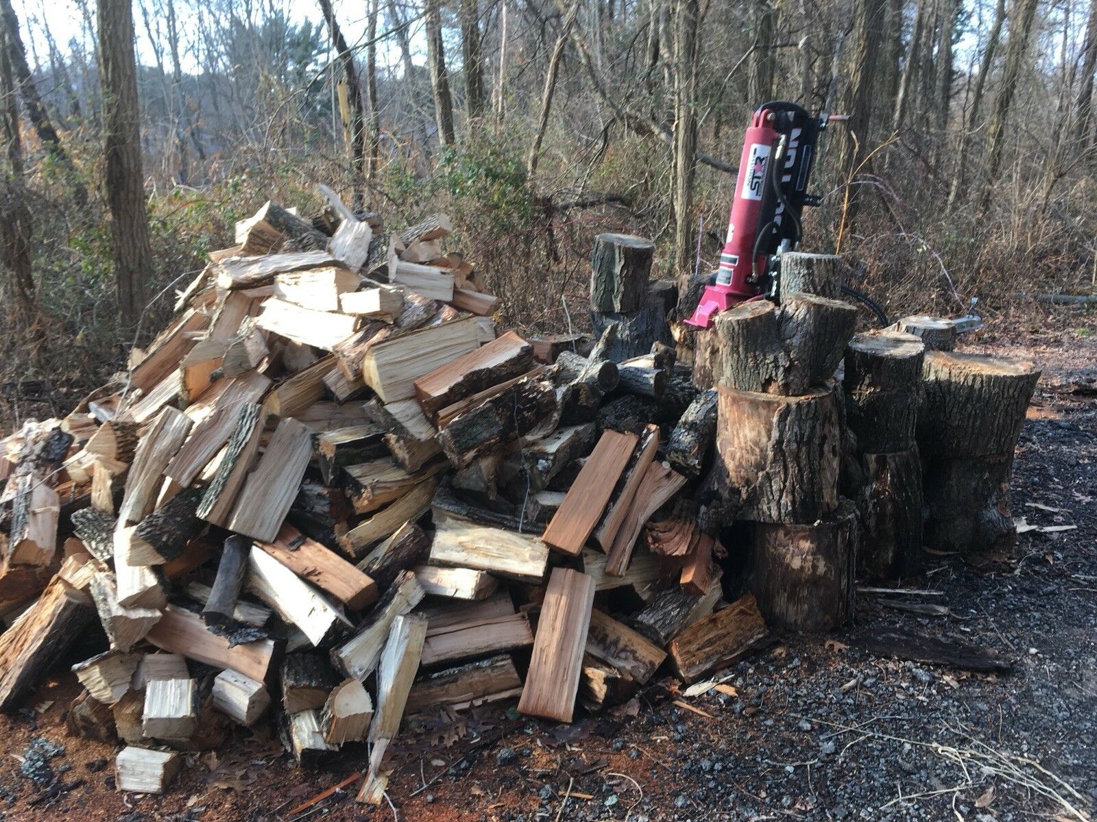 Seasoned Firewood - Fresh Stock Dated January 2026