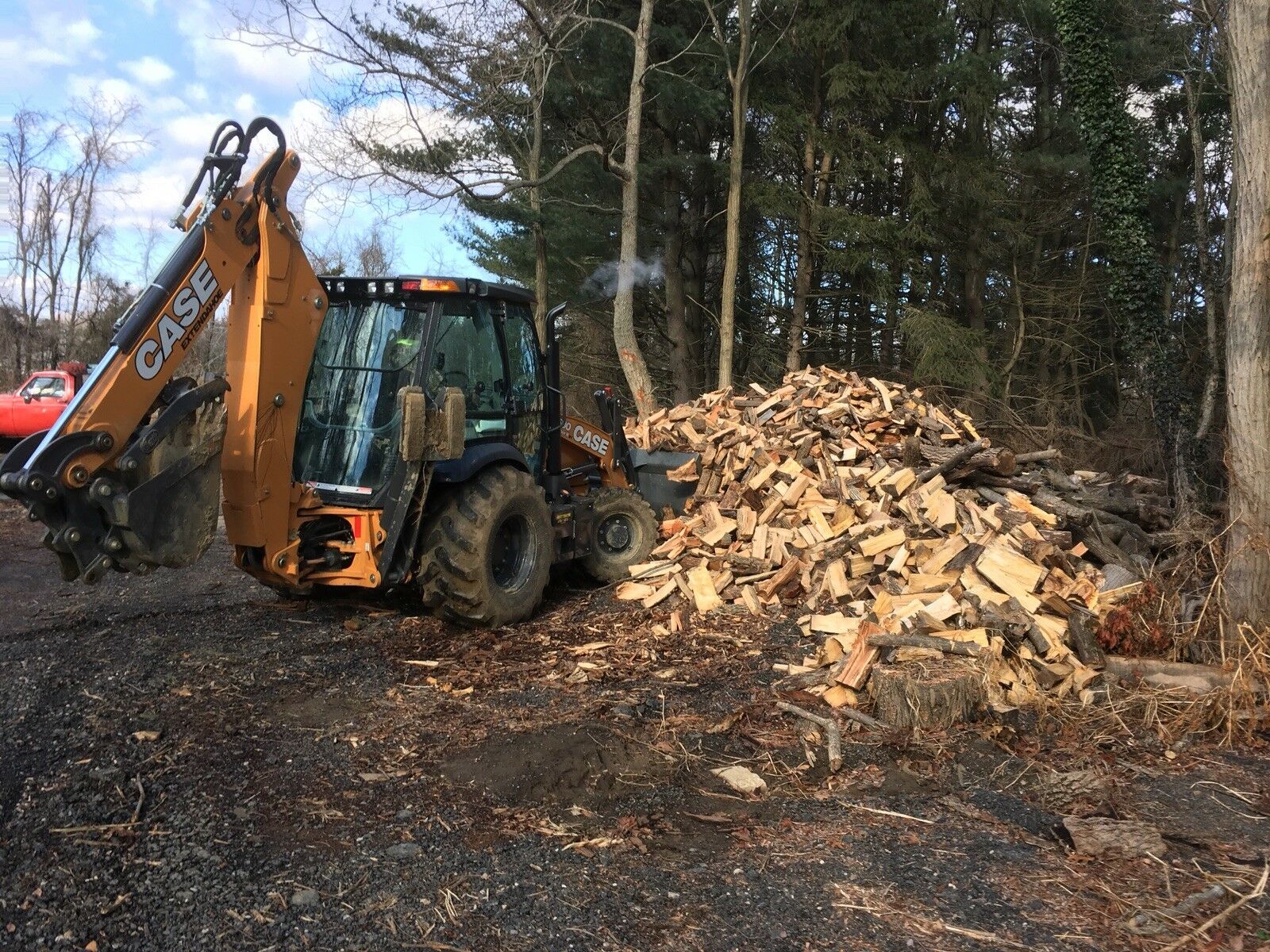 Seasoned Firewood - Fresh Stock Dated January 2026