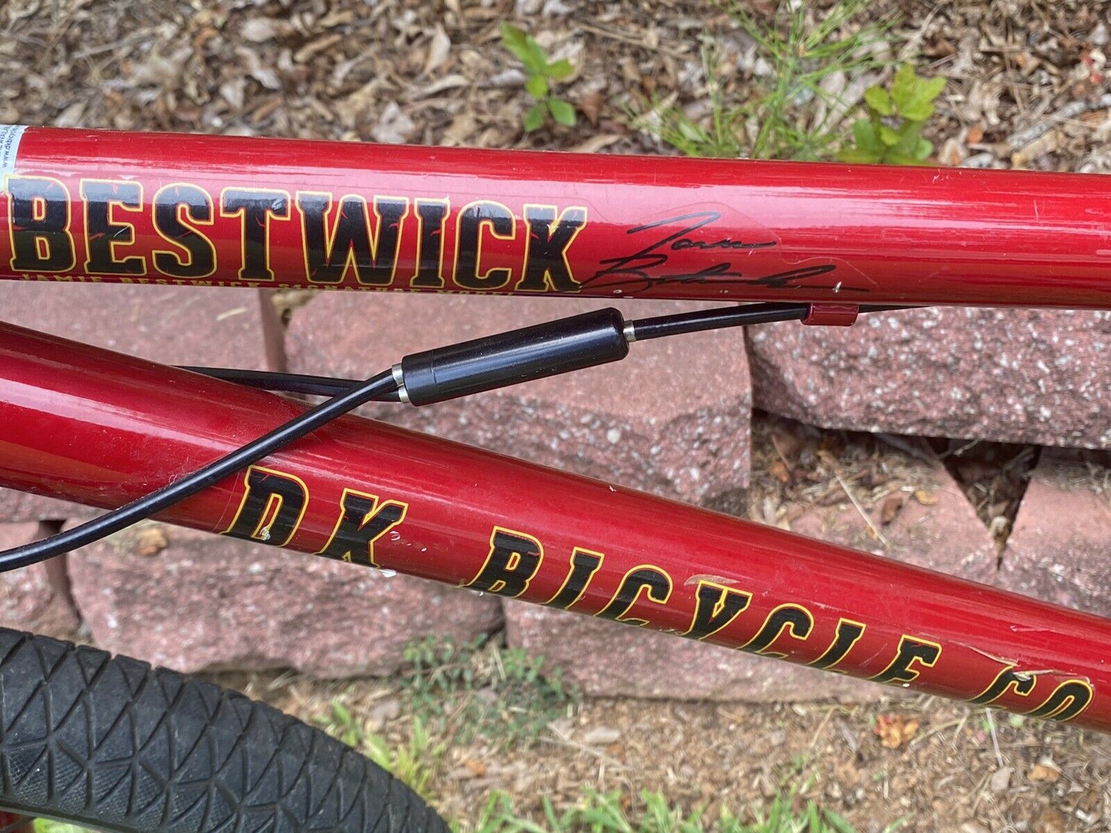 DK JAMIE BESTWICK  BICYCLE - Fresh Stock Dated January 2026