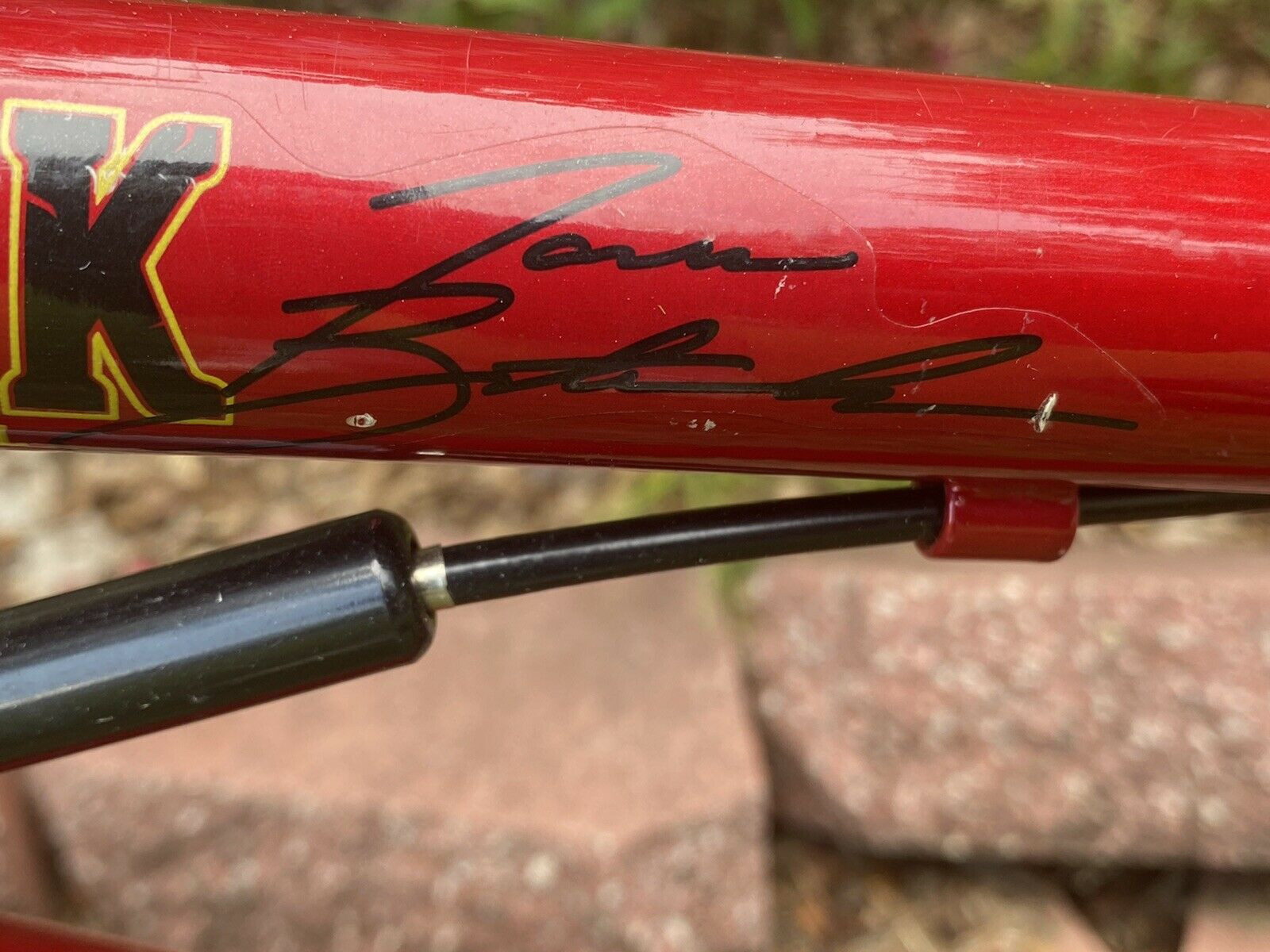 DK JAMIE BESTWICK  BICYCLE - Fresh Stock Dated January 2026