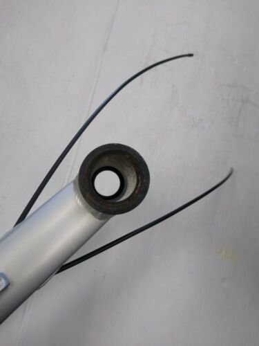 Fuji 1.9 Absolute 19