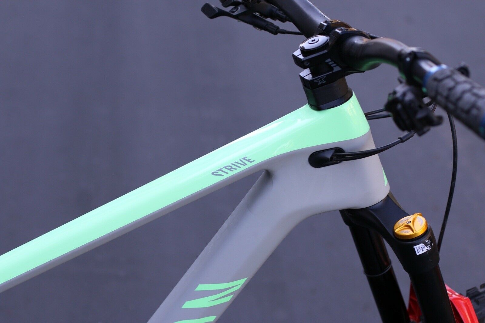 2021 Canyon Strive CF 8 Mountain Bike - XL - Full Carbon - Fresh Stock Dated December 2025