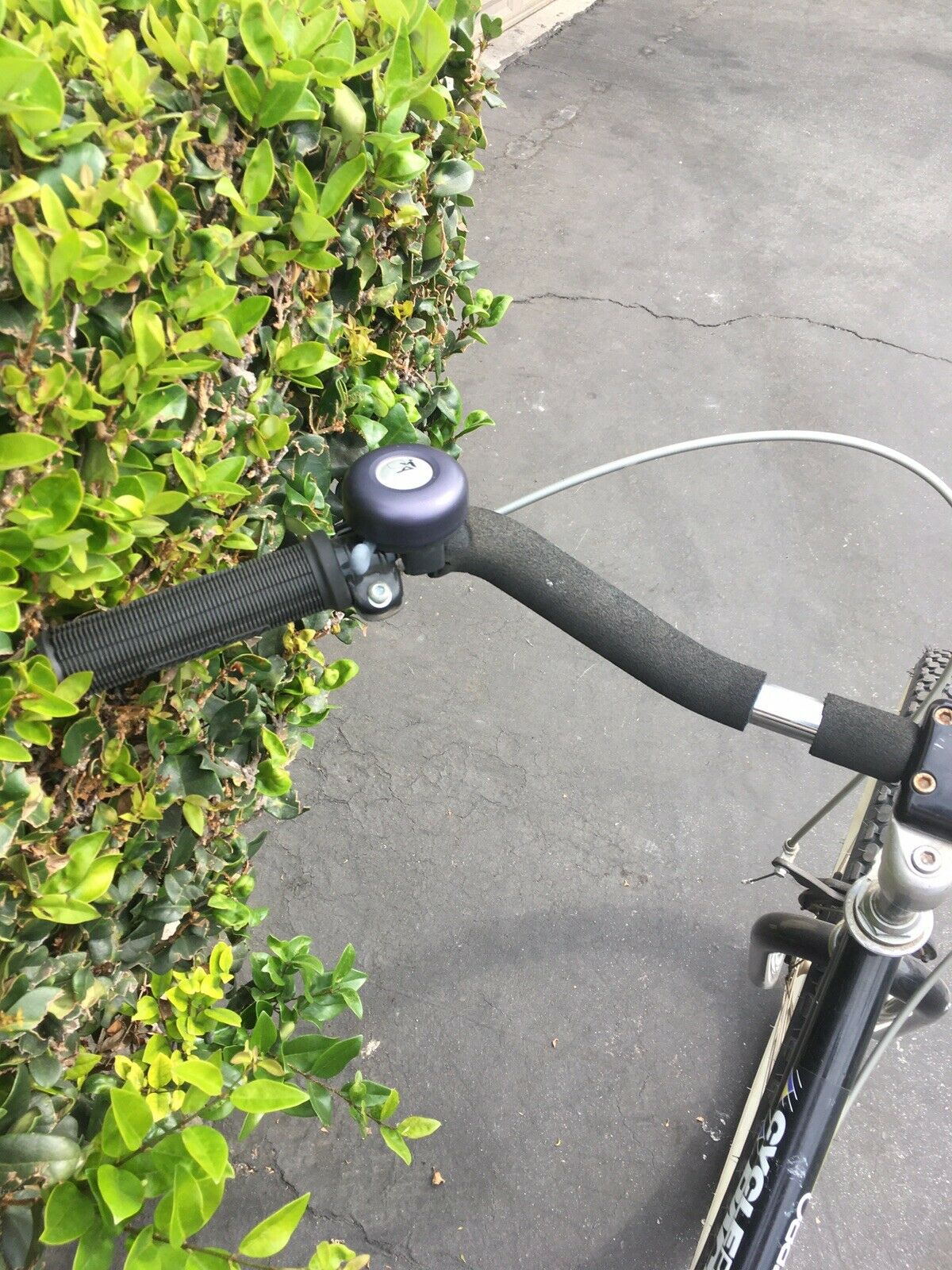 Local Pick Up Only. Cyclepro Pacific Cruiser 26” Bike Bicycle Good - Fresh Stock Dated December 2025