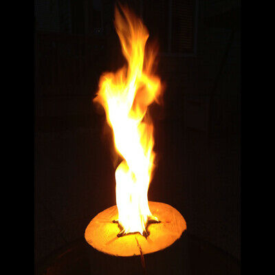 TimberTote Large 12x8 Inch One Log Campfire Camping Cooking Camp Fire Wood Log - Fresh Stock Dated December 2025