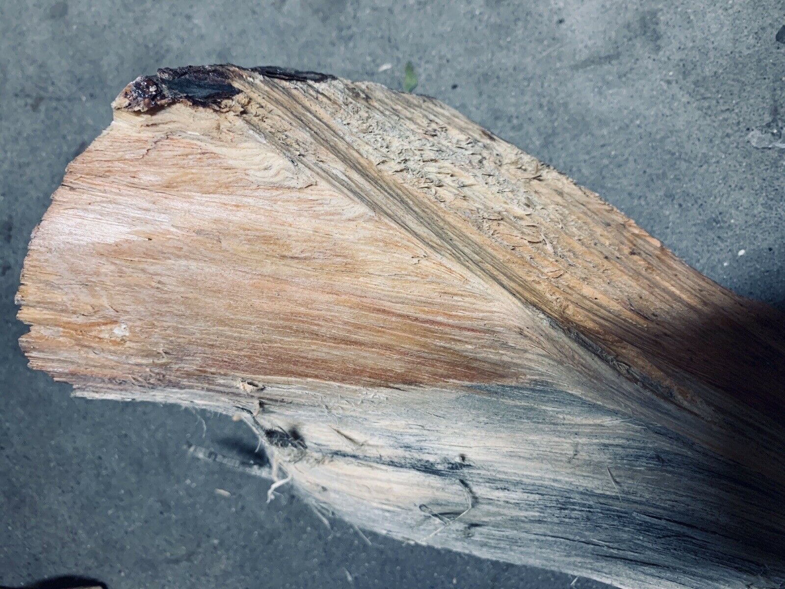 2 Lbs FARMERS MARKET FATWOOD Sticky All Natural Lights When Wet - Fresh Stock Dated December 2025