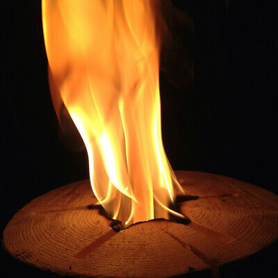 TimberTote Large 12x8 Inch One Log Campfire Camping Cooking Camp Fire Wood Log - Fresh Stock Dated December 2025