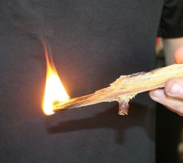 Florida Heart Pine fat lighter fatwood Kindling Wood Fire Starters 10 Pounds - Fresh Stock Dated December 2025