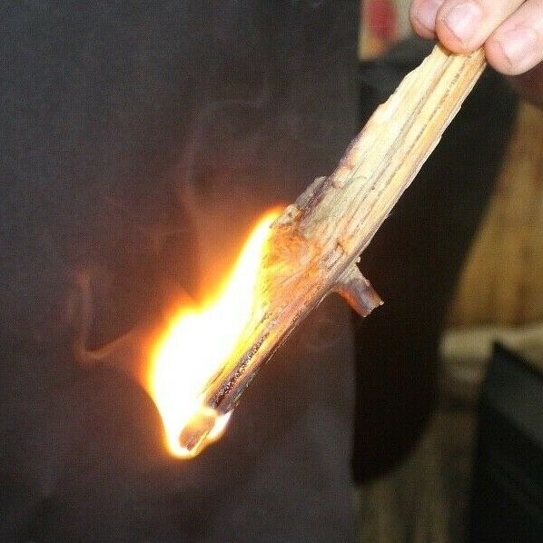 Florida Heart Pine fat lighter fatwood Kindling Wood Fire Starters 10 Pounds - Fresh Stock Dated December 2025