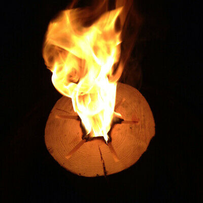 TimberTote Large 12x8 Inch One Log Campfire Camping Cooking Camp Fire Wood Log - Fresh Stock Dated December 2025