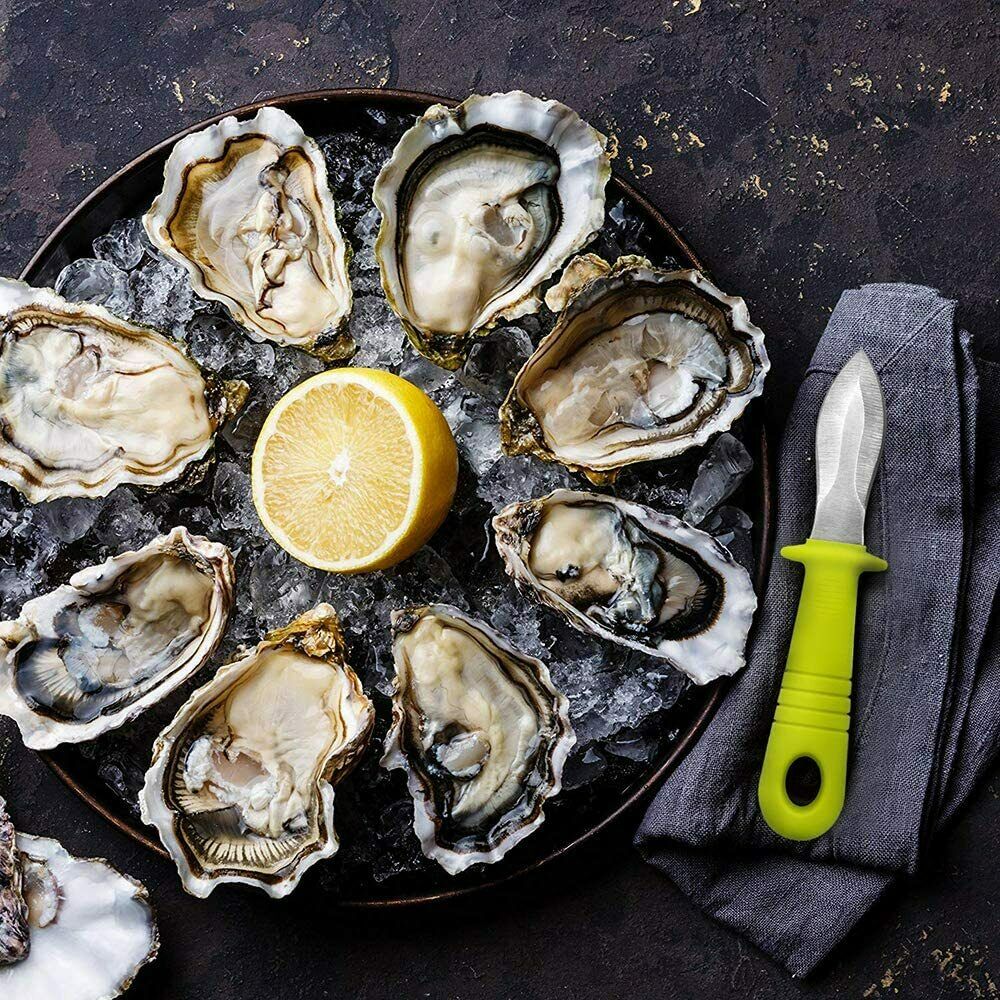 DragonFruitee Oyster Knife Shucking Tool, Commercial Grade with Anti-Slip Handle - Fresh Stock Dated February 2026