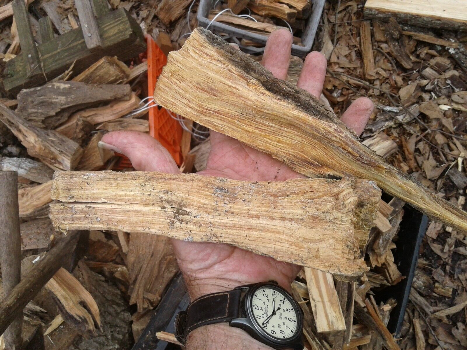 Fat Lighter Wood perfect for bug out bags, stashes, campers/RV, hiking, camping - Fresh Stock Dated January 2026