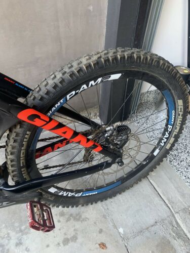 Giant Glory Downhill Bike Mint Condition. Nvr Ridden On Trails or Downhill - Fresh Stock Dated December 2025