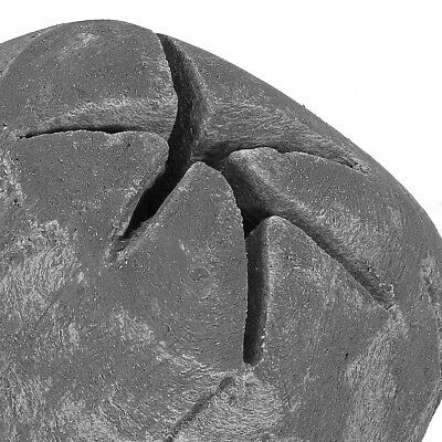 Fireplace Ceramic Skull For Fireplaces Halloween Decor Fire Pits BBQ Grey - Fresh Stock Dated December 2025