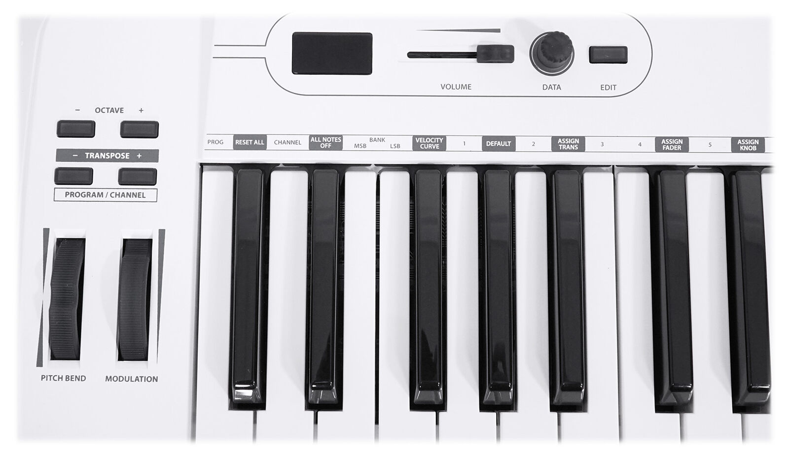 Samson Carbon 61 Key USB MIDI DJ Keyboard Controller+Komplete Elements Software - Fresh Stock Dated December 2025